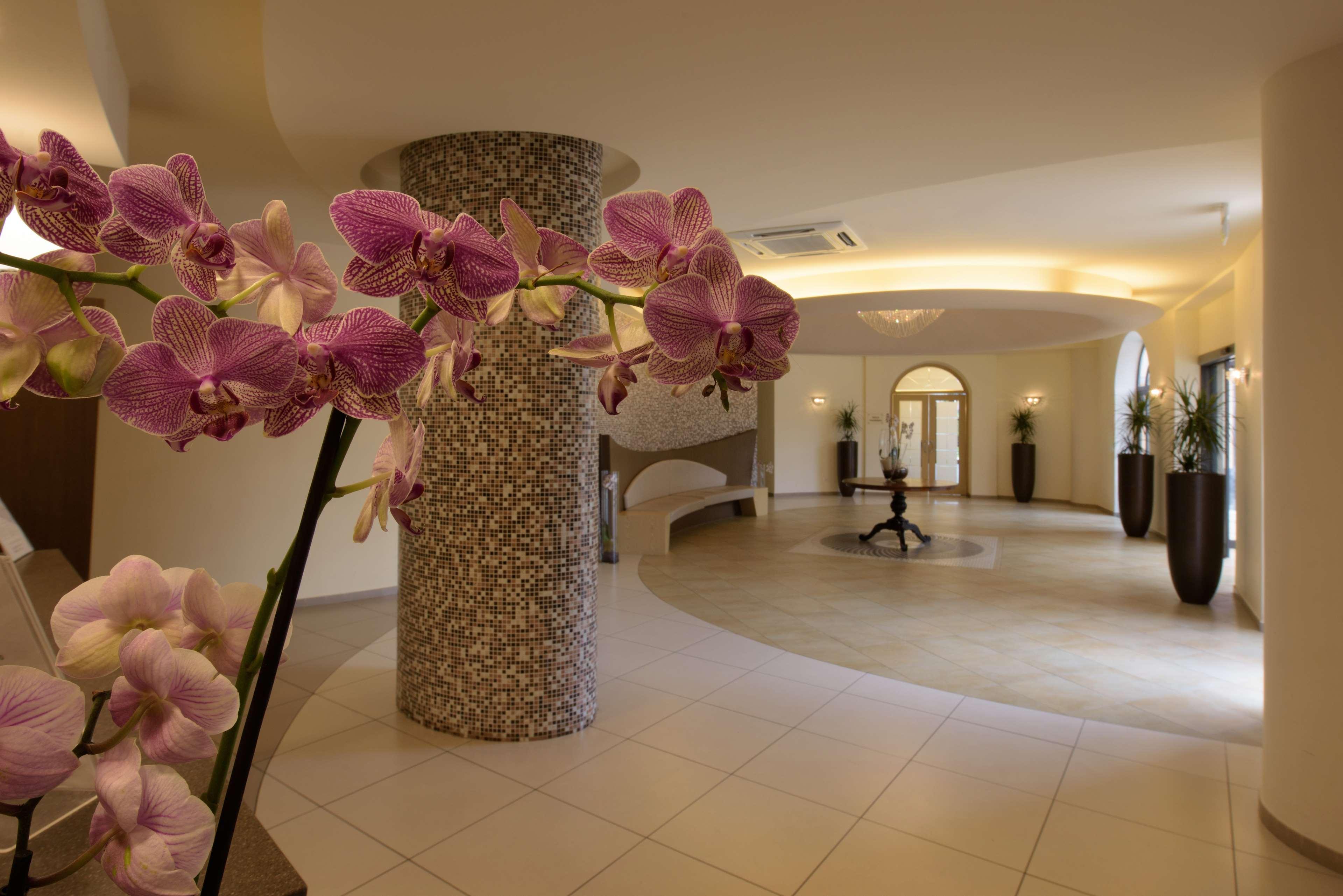 San Severino Park Hotel & Spa, BW Signature Collection 梅尔卡托圣塞韦里诺 外观 照片